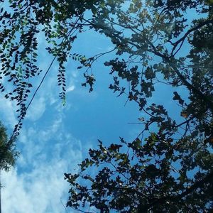 Meet your Posher, Makayla